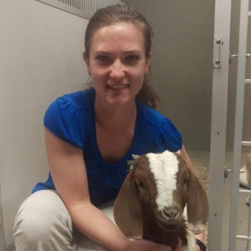 Dr. Jessica Ripke, Brighton Veterinarian