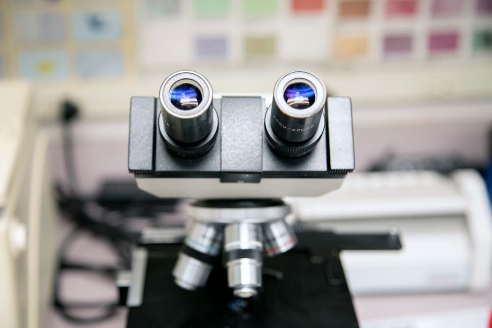 lab tools at animal clinic